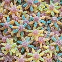 Octopus pieuvre acidulée